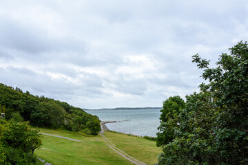 Landscape with trees and ocean