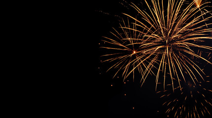 Obraz premium Fireworks Display: Fireworks lighting up the night sky, celebrating the holiday, Labor Day, with copy space