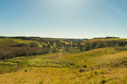 Campos de cima da Serra, Gaucho Highlands, Countryside of Sao Francisco de Paula (South of Brazil)