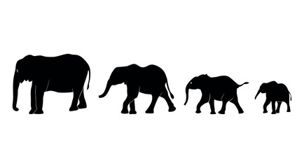 Elephant Silhouette vector. Silhouette of elephants. Elephant shadow hand drawn. Animal Elephant Silhouettes vector illustration.