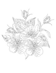 Fototapeta premium Floral pattern for coloring book. Flower coloring book Page. Vector black and white coloring page for colouring book. Leafs and flowers in monocrome colors. adult coloring book. Adult book