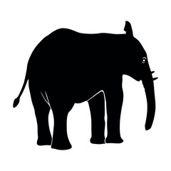 Elephant Silhouette vector. Silhouette of elephants. Elephant shadow hand drawn. Animal Elephant Silhouettes vector illustration.