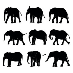 Elephant Silhouette vector. Silhouette of elephants. Elephant shadow hand drawn. Animal Elephant Silhouettes vector illustration.