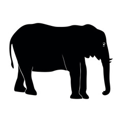 Fototapeta premium Elephant Silhouette vector. Silhouette of elephants. Elephant shadow hand drawn. Animal Elephant Silhouettes vector illustration.