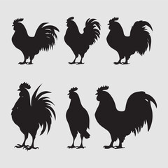 Vector  Animals Hen