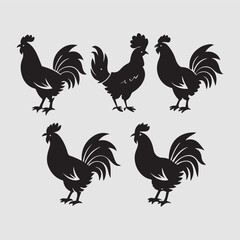 Vector  Animals Hen