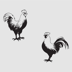 Vector  Animals Hen