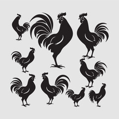 Vector  Animals Hen
