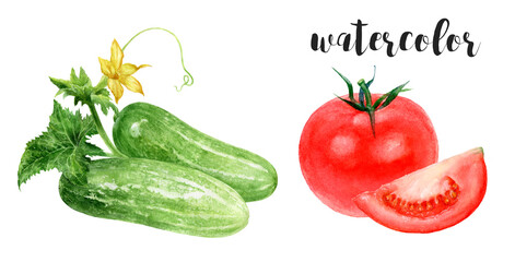 A Vibrant Watercolor Illustration Showcasing Fresh Vegetables and Colorful Fruits