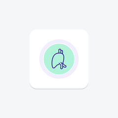 Liver purple line icon on a colorful circle, ai illustrator file