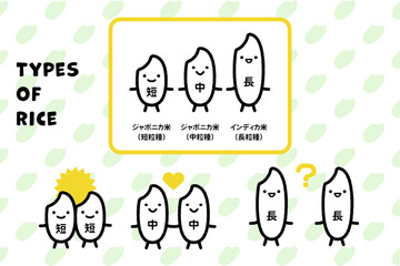 お米のタイプ・短粒・中粒・長粒
