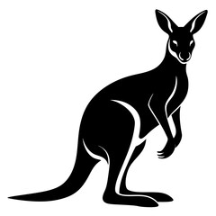 kangaroo vector illustration