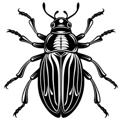 A detailed black and white drawing of a beetle on white