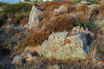 Nature, wilderness and rock in grass in woods or hill in outdoor in ocean and landscape. Rural, outside and natural scene for environment, eco friendly and natural with stone in England for hike