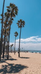 California Dreamin Captures a Serene Beach With Palm Trees Swaying Under Bright Blue Skies