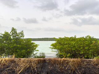 Burned field in front Of the sea