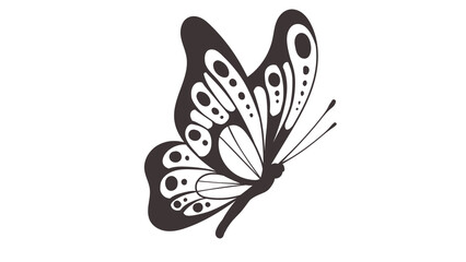 black and white butterfly illustration