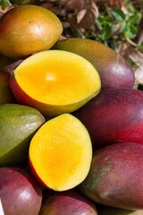 Fotos de Manga diretamente da fazenda