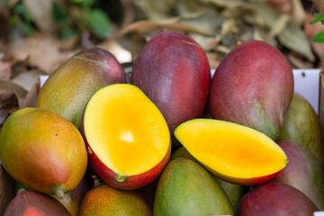 Fotos de Manga diretamente da fazenda