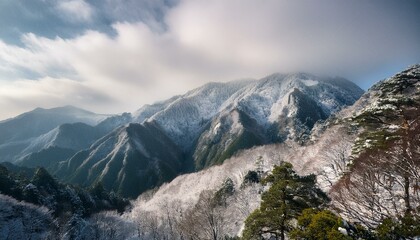 Fototapeta premium 日本の季節 冬
