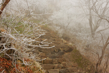 霜が降りた登山道