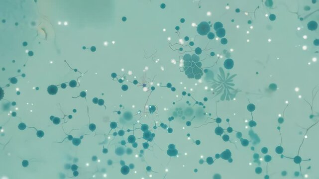 Exploring the structure and function of glial cells in the human nervous system