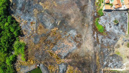 Top view Of a Deforestation area