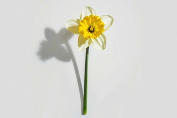 Obraz premium Spring-themed background featuring vibrant flowers on a calming blue backdrop.. Beautiful simple AI generated image