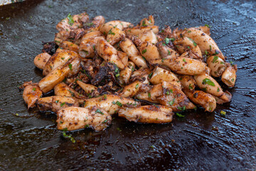 Assortment of fresh daily catch of prawns, seashells, molluscs on ice on fish market in Brittany, France, English translation: differens French names of seafood
