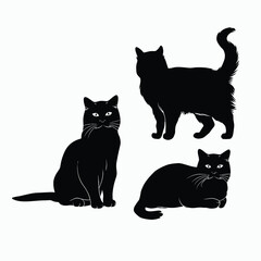 Obraz premium British Shorthair silhouette vector template cat illustration
