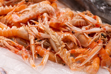 Assortment of fresh daily catch of prawns, seashells, molluscs on ice on fish market in Brittany, France, English translation: differens French names of seafood