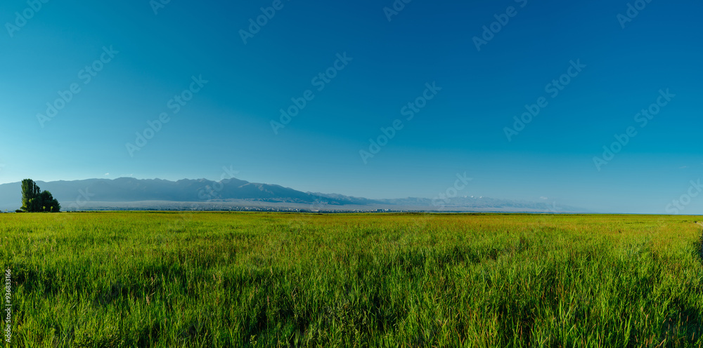 Wall mural Summer green meadow and mountains panorama