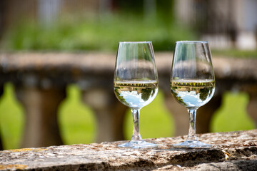 Glasses of white wine in old wine domain on Sauternes vineyards in Barsac village and old castle on background, Bordeaux, France