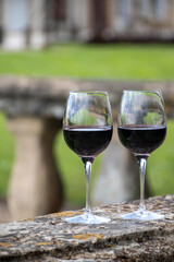 Glasses of french dry red wine in old wine domain on Graves vineyards in Portets village and old castle on background, Bordeaux, France