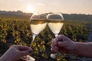 Tasting of grand cru sparkling brut white wine champagne on sunny vineyards of Cote des Blancs in village Cramant, Champagne, France, glasses of wine in hands