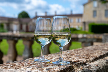 Glasses of white wine in old wine domain on Sauternes vineyards in Barsac village and old castle on background, Bordeaux, France