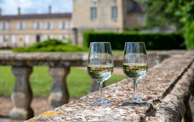 Glasses of white wine in old wine domain on Sauternes vineyards in Barsac village and old castle on background, Bordeaux, France
