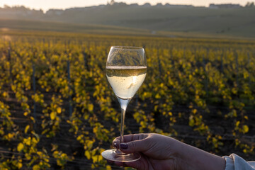 Tasting of grand cru sparkling brut white wine champagne on sunny vineyards of Cote des Blancs in village Cramant, Champagne, France, glass of wine