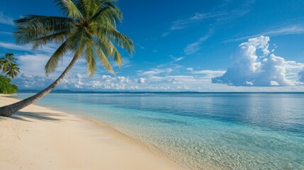 Fototapeta premium A palm tree is on a beach with a clear blue sky