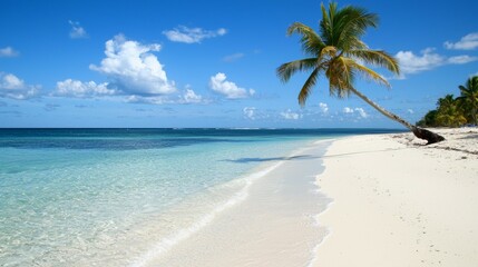 A palm tree is standing on a beach with a clear blue sky above