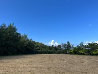road in the forest okinawa iheya Island nentouhihamatu