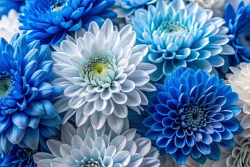 Obraz premium The dominant colors of the scheme are blue, grey, and white, blending harmoniously to create a soothing atmosphere that calms the senses.
