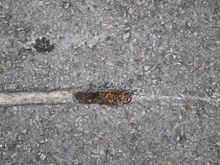 Scuff marks on the asphalt road from an accident