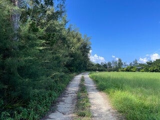 road in the countryside okinawa iheya Island nentouhihamatu