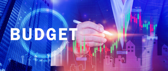 Budget Financial planning and management concept, Company budget allocation for business project...