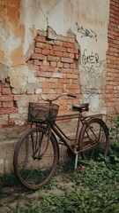 Rusty Bicycle
