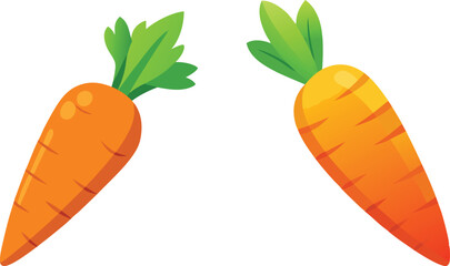 carrot vector illustration on white background 