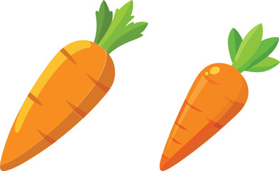 carrot vector illustration on white background 