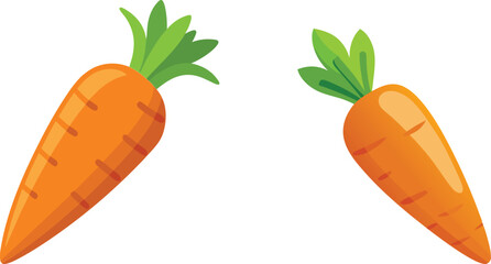 carrot vector illustration on white background 