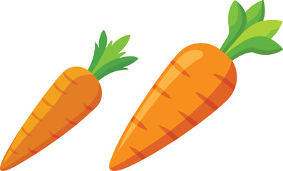 carrot vector illustration on white background 